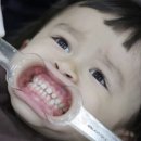 삼주초장 네이버블로그