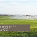 피링스 이미지