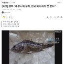 [속보] 정부 “후쿠시마 우럭, 한국 바다까지 못 온다” 이미지