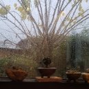 전동떡갈비앤브리즈 이미지