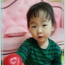 팡팡, 공룡으로 변신 이미지