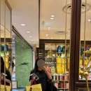 A0007 | TWG 곰젤리 후기 #싱가포르 면세점 가격 #기념품 추천