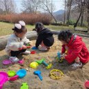 큰숲어린이집 이미지