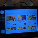 육회한고기 | [대전] 복수동 “동읍리” “육회한지짐이” 고기집 안주 술집 맛집