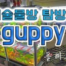 심술이네물방 | 플레코존님의 심술물방 탐방기 ^^