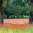 소문난점집여행-가을여행지 이미지