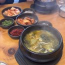 일레븐CC | 충북 충주 일레븐 CC 라운드 다녀온 후기