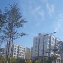 포레스타 이미지