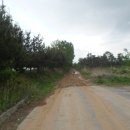 섬진주유소 이미지