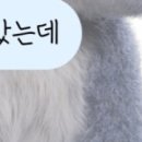 잘하자 돼지야 이미지