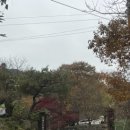 수레로3 | 서울 근교 캠핑장 남양주 포레스트벨리캠프 내돈내산 방문 후기! (ft.사이트 추천)