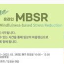 한국마인드풀연구소