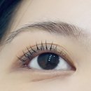 루디힐 | 더아름 선정릉점 루디샘과 함께한 노글루펌 후기 (속눈썹펌추천)