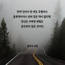 소렐 이미지