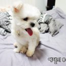 마루부동산중개 이미지