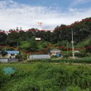 마장면-01 이미지