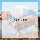 홈파티요리 이미지