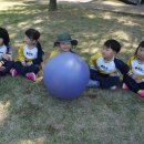 공굴리기 이미지