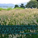 우상목장 이미지