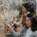 미선농장 이미지