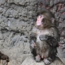 개나리봄약국 | 살면서 이 정도로 나이 먹어본 건 처음이에요