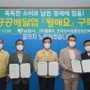 월매 노컷뉴스