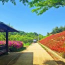 영인산수목원 티스토리