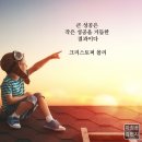 금융보험연구소(