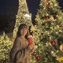 (주)티베리 | 대전 대형 크리스마스 트리 카페, 글리하우스, 주차, 주말 저녁, 말차라떼