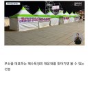 해운대 해수욕장 축제 망한 이유 드디어 밝혀짐 이미지