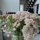 뽑기좋은날 이미지