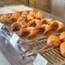 그린하우스 | 대구 신상 대형카페 칠곡 가산수피아 모하 더 그린하우스 브런치 후기