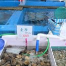 서영수산