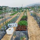주혜네 이미지