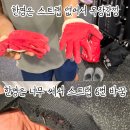 운동맛집 짐레이너 | [잘움직이는 법]헬스인들의 성지 풍무동 기구맛집 브이짐 운동모임 원정운동 후기(feat.파나타)