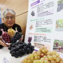 슈팅스타 이미지