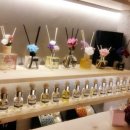 주니캔들 이미지