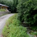 백사농장 이미지