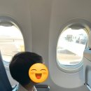 제주 투어 아울렛