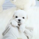 작고 소중해 이미지