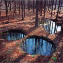 깊은산속 이미지