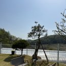 애기업은돌체육공원 | [내돈내산] 원주 기업도시 신상 애견카페 &#34;오독오독&#34;