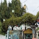 역전고무신 | 전주 가볼만한곳 전주난장 레트로 근대사 체험관 입장료 주차