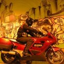 심심토끼 이미지