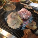 돼지새마을운동 Daum카페