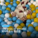 어린이 방송댄스(5~9세) | 9세 5세 키즈카페 1200평 초대형 평촌 로라바운스 완전 정복