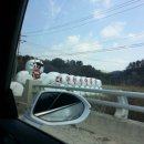 춘삼월목장 이미지