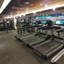 비타민스크린골프 이미지