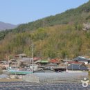 곡성-126 이미지