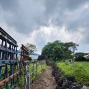 골왓마을방사탑 3호 이미지